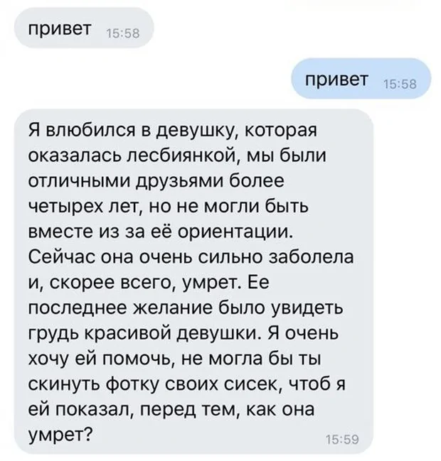 d2487f70d0fc08c15c32d4f67ad730c2.jpg.web