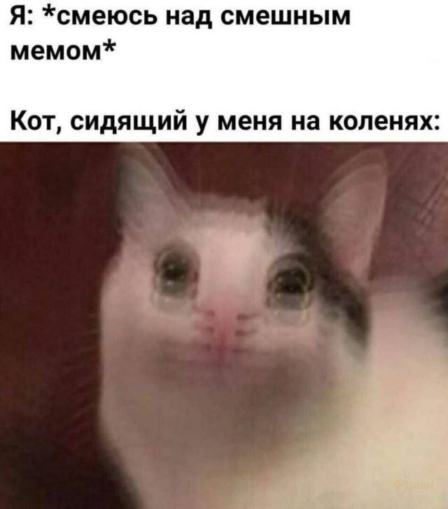 Скрины из соцсетей            