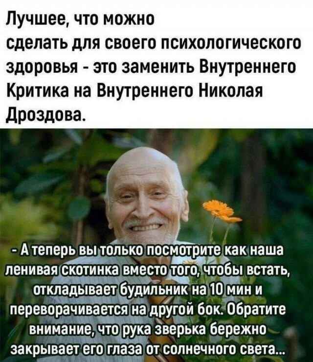 Скрины из соцсетей            