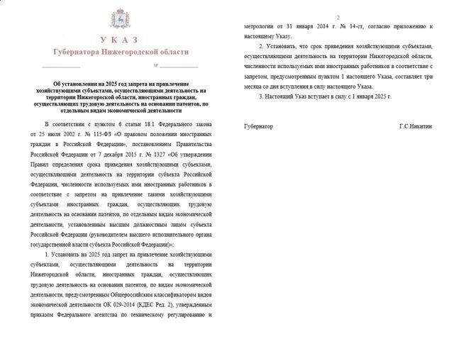 В Нижегородской области мигрантам хотят запретить работать в 37 сферах экономики, включая медицину