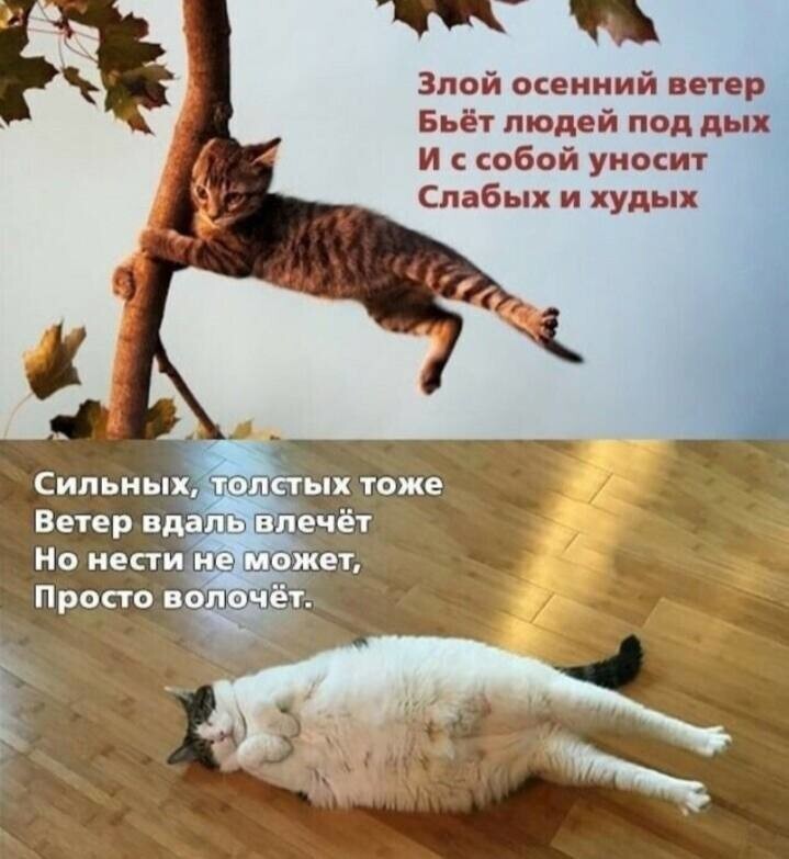 Минутка поэзии.