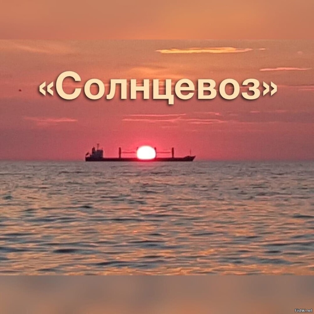 Солянка от 09.12.2024