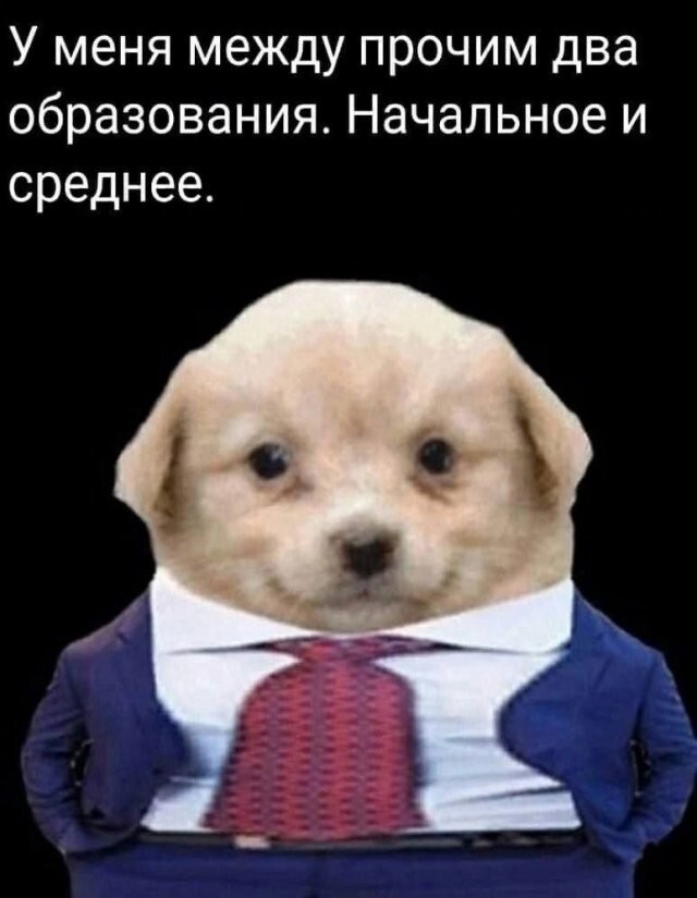 Скрины из соцсетей            