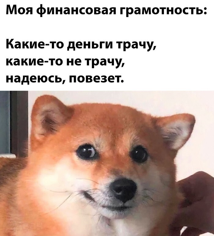 Скрины из соцсетей            