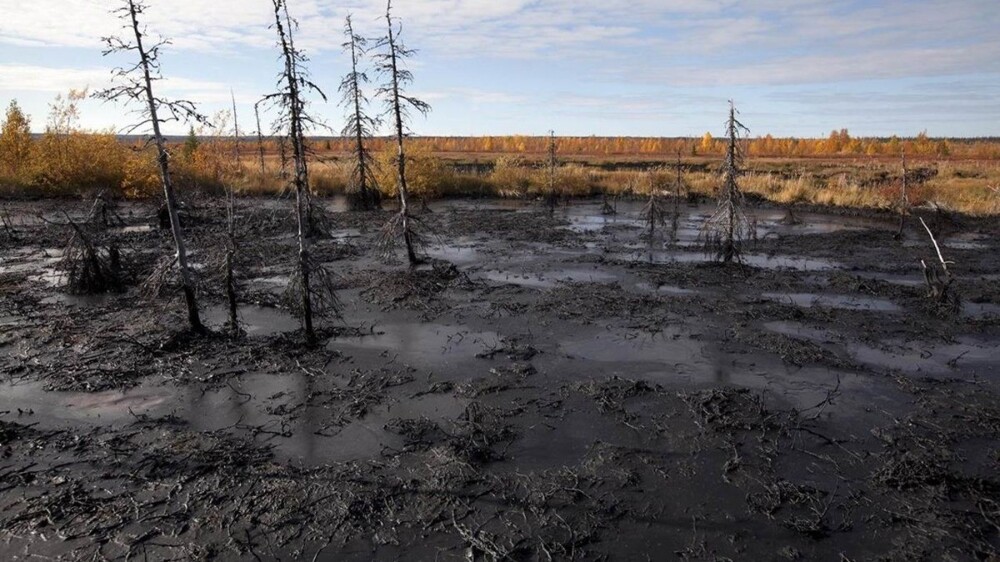 В Госдуме предложили ввести смертную казнь за загрязнение окружающей среды