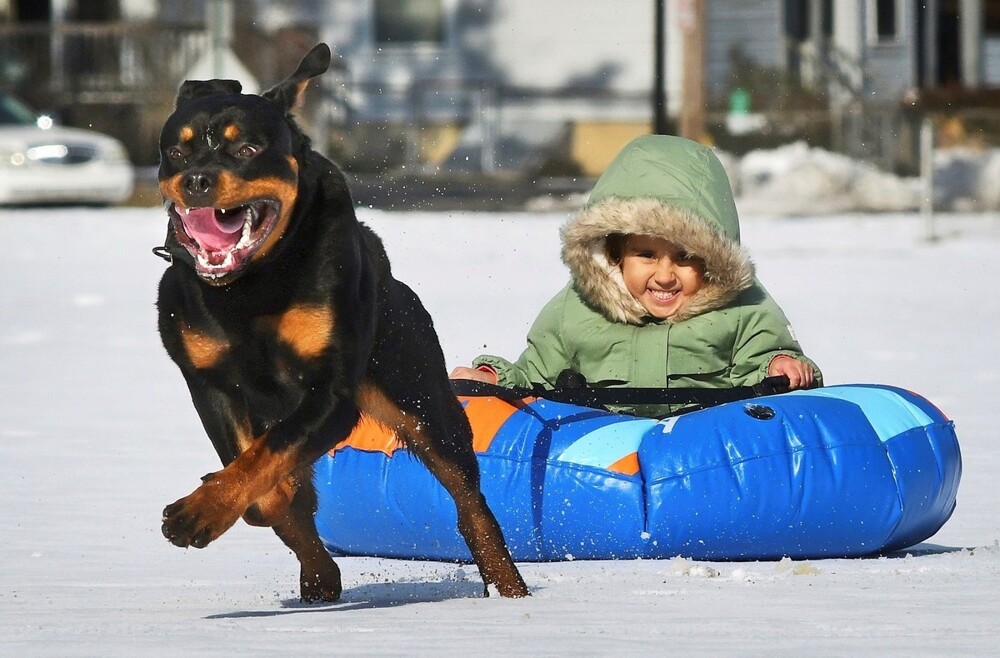 На общую тему 