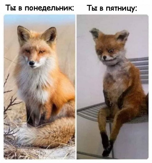 Скрины из соцсетей            