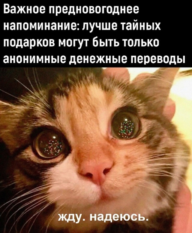 Скрины из соцсетей            