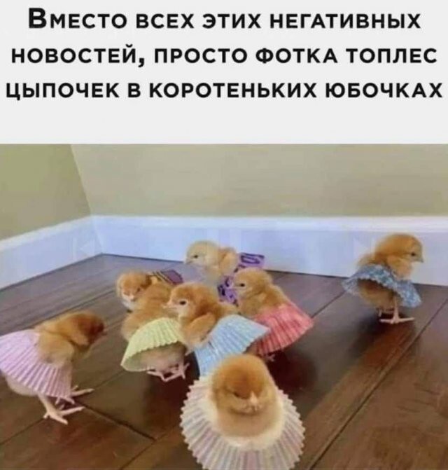 Скрины из соцсетей            
