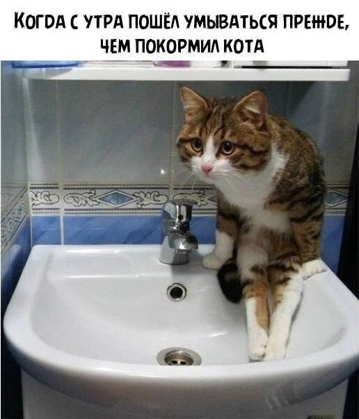 Скрины из соцсетей            
