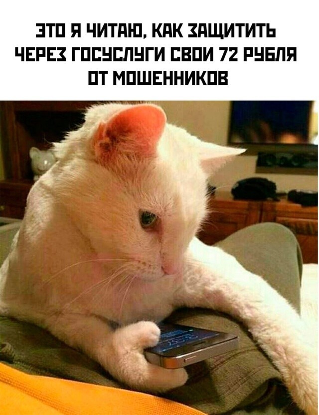 Скрины из соцсетей            