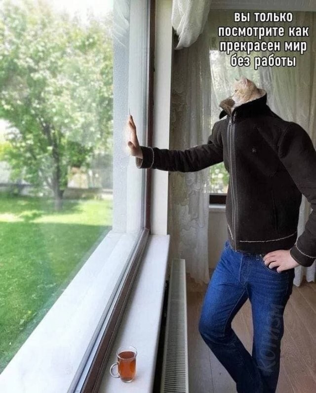 Скрины из соцсетей            