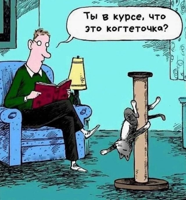 Скрины из соцсетей            