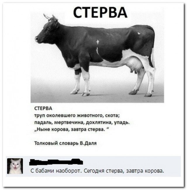 Не ищите здесь смысл. Здесь в основном маразм