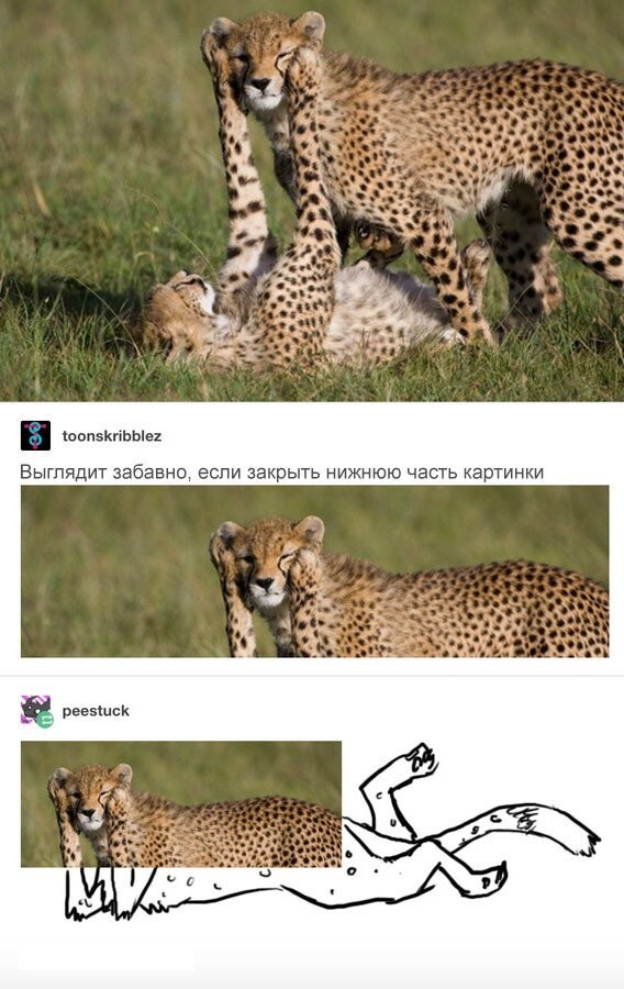 Не ищите здесь смысл. Здесь в основном маразм