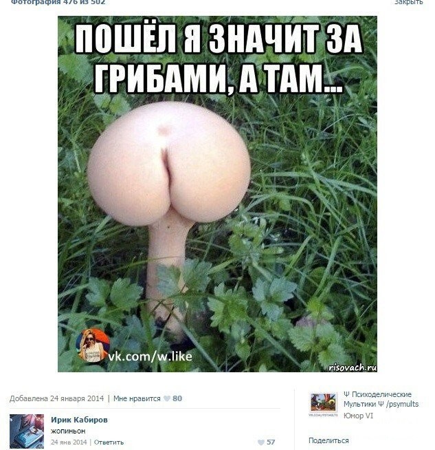 Не ищите здесь смысл. Здесь в основном маразм