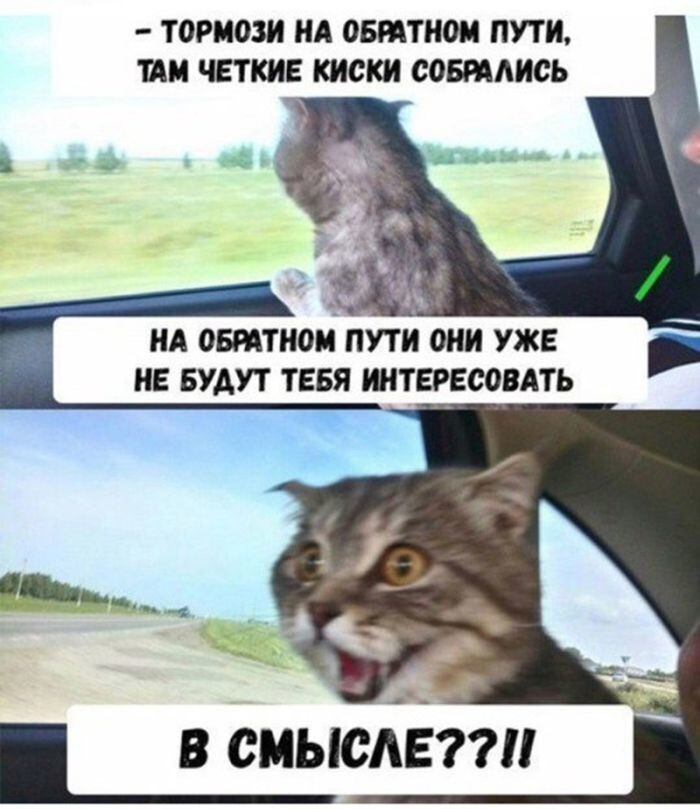 Встречаем Пятницу !