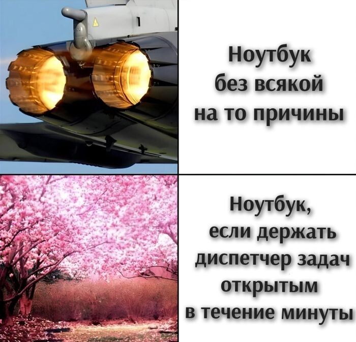 Встречаем Пятницу !