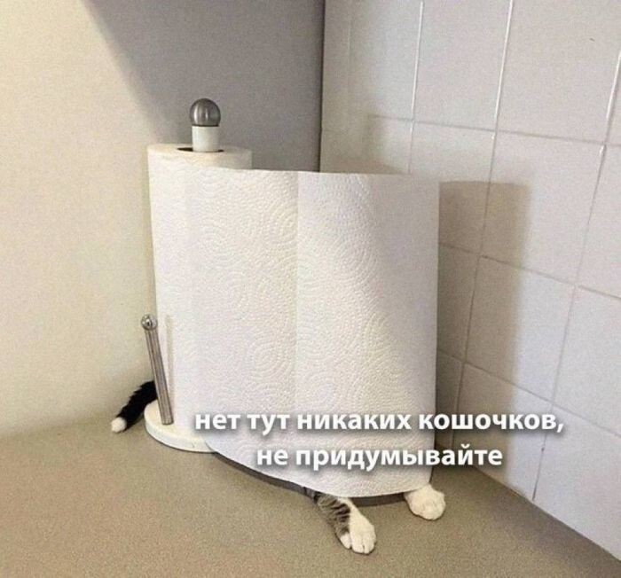 Встречаем Пятницу !