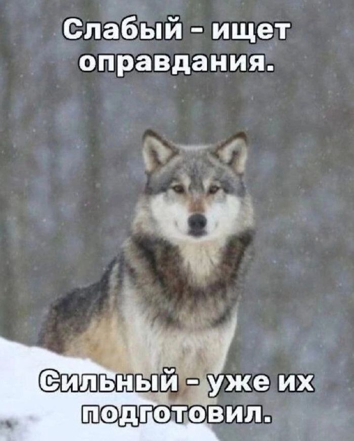 Встречаем Пятницу !