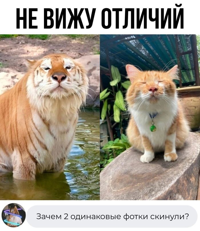 Встречаем Пятницу !