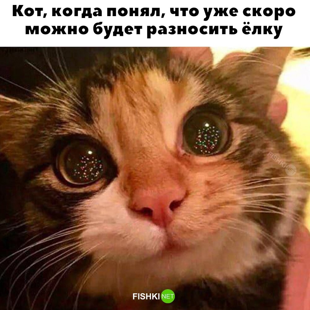 Встречаем Пятницу !