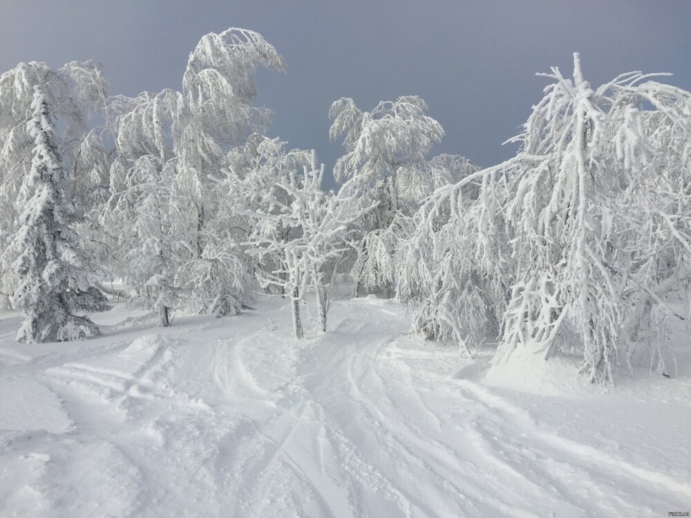 Солянка от 13.12.2024