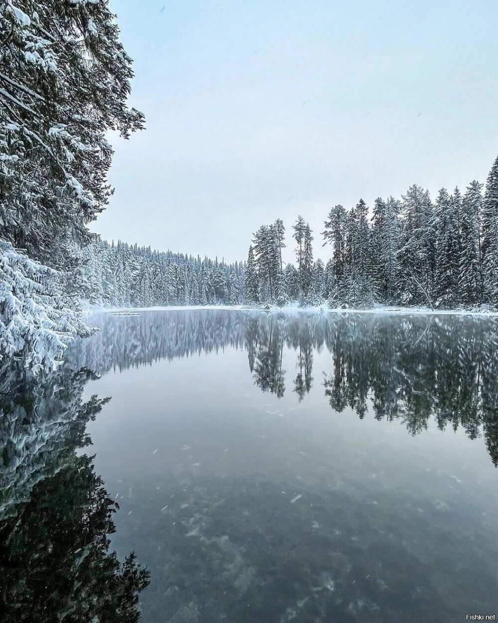 Доброго утра