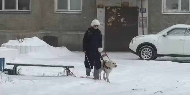 Слепую девушку выгнали из кинотеатра из-за пса-поводыря