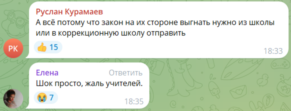 «Не трогай меня!»: в Калининграде буйный школьник довёл педагога на уроке труда