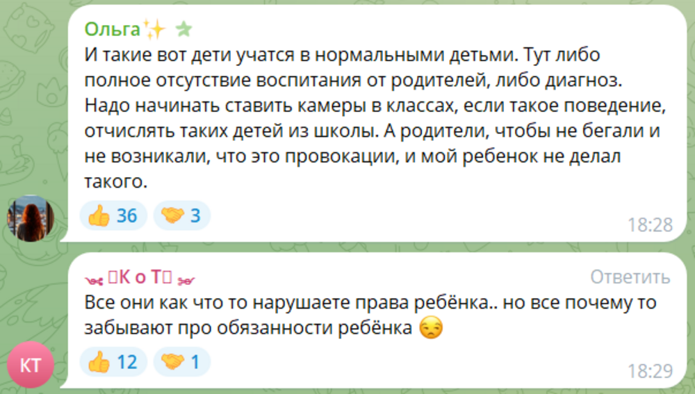 «Не трогай меня!»: в Калининграде буйный школьник довёл педагога на уроке труда