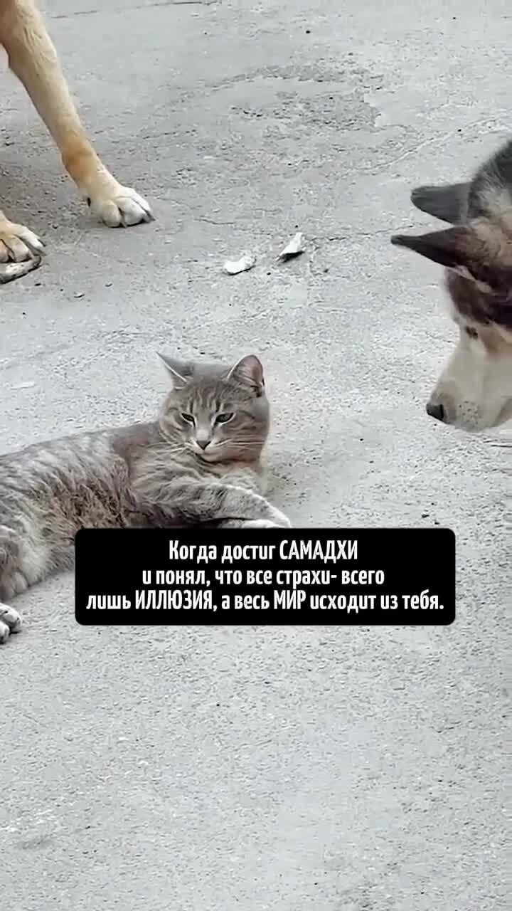 Не очень громко