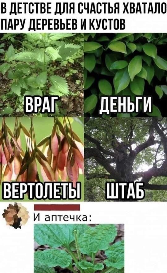 Улыбатор