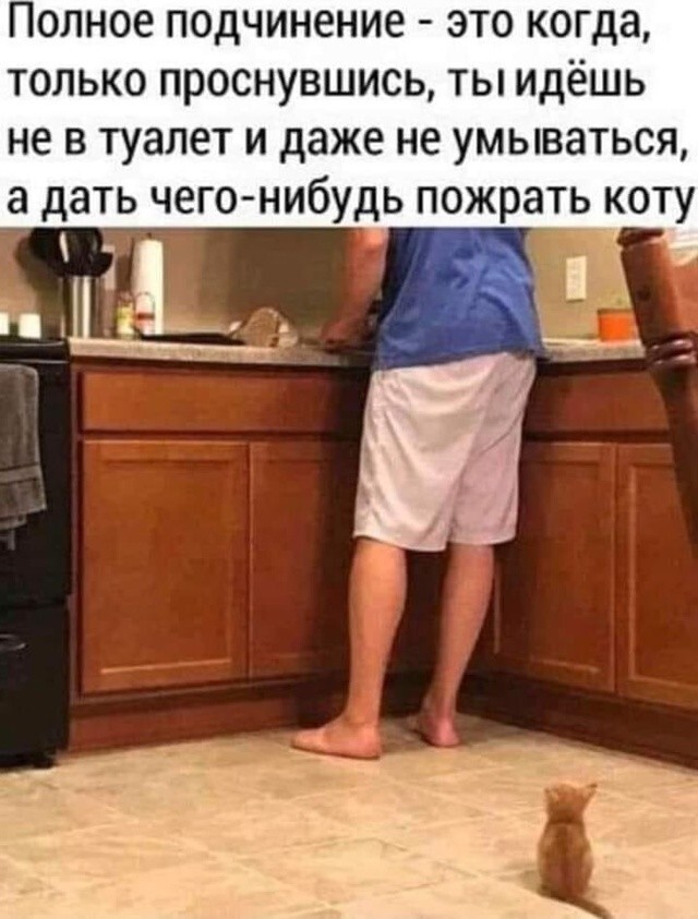 Улыбатор