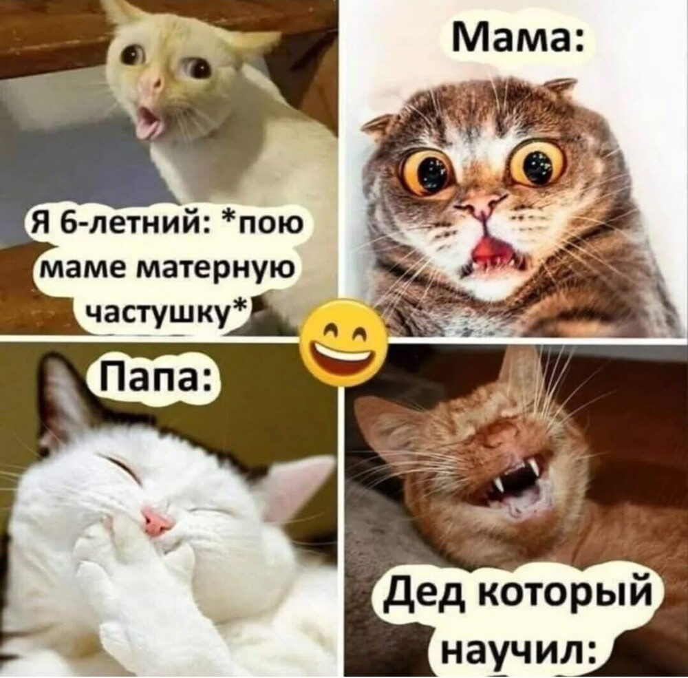 Улыбатор