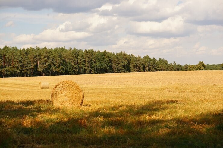 Душевные фотографии