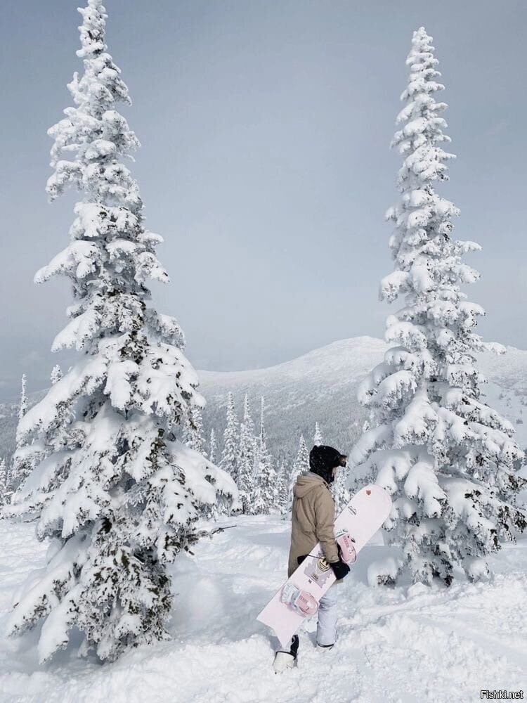 Солянка от 20.12.2024