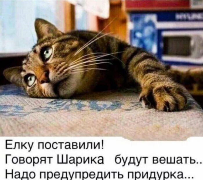 Улыбатор. Большая подборка