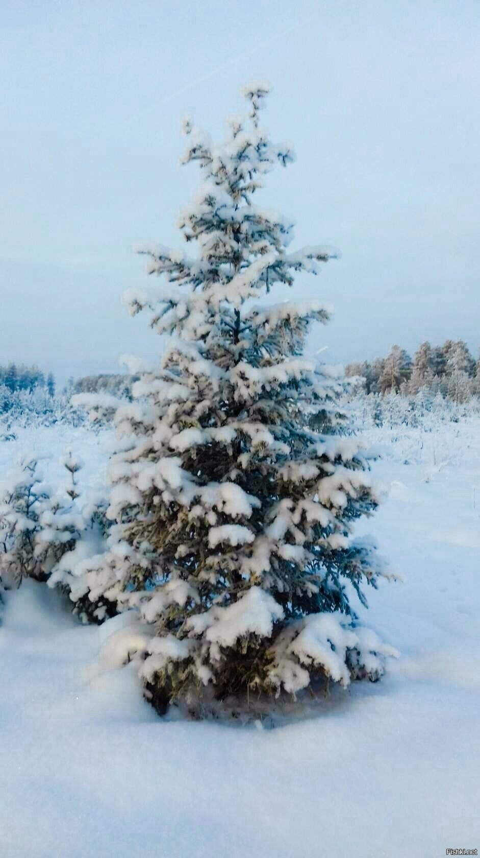 С добрым утром