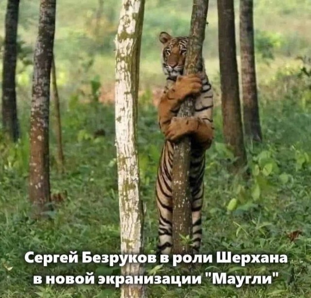 Просто выходной