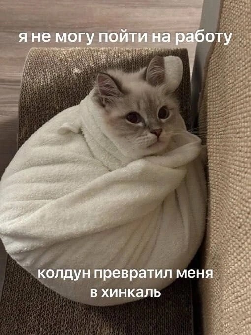 Просто выходной