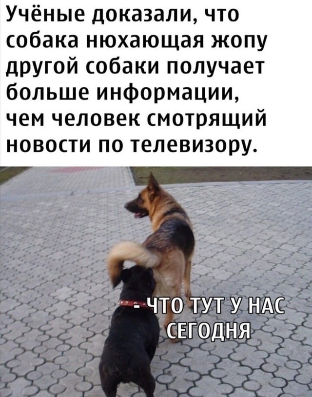 Просто выходной