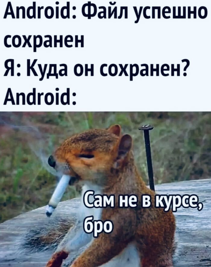 Просто выходной