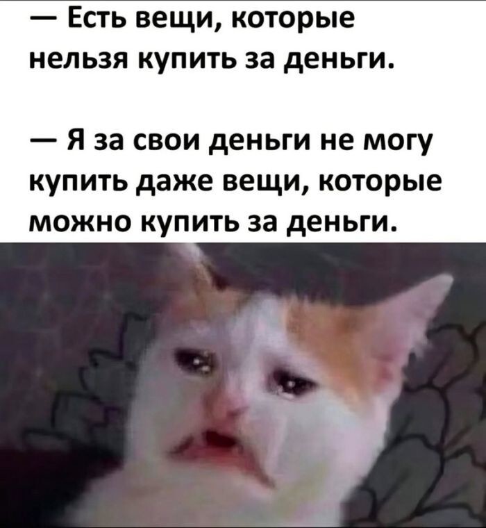 Просто выходной