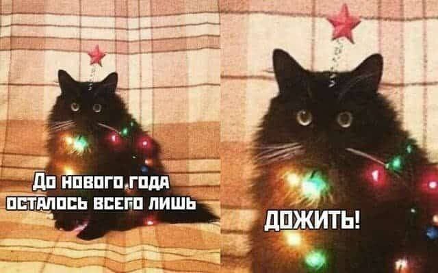 Просто выходной