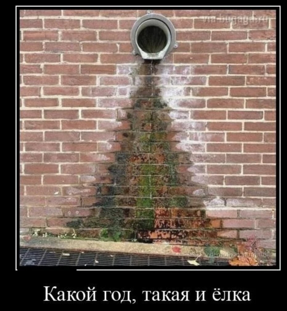 Просто выходной