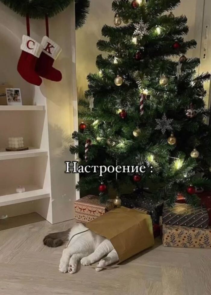 Просто выходной