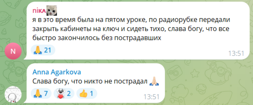 В Волгограде вооружённый ножом мужчина попытался ворваться в лицей