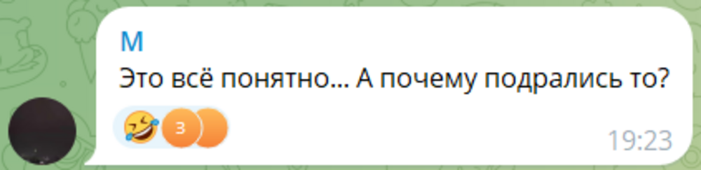 В Дагестане на турнире по ММА борцухи устроили массовую драку