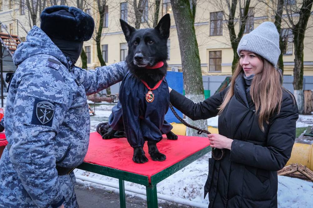 В Санкт-Петербурге служебную собаку впервые наградили медалью Росгвардии